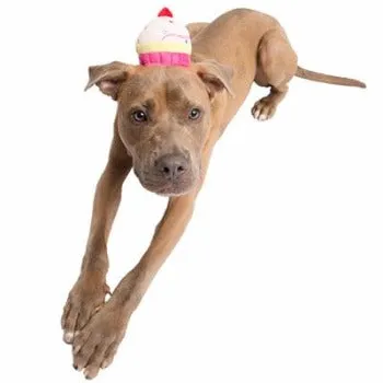 Cupcake Hat
