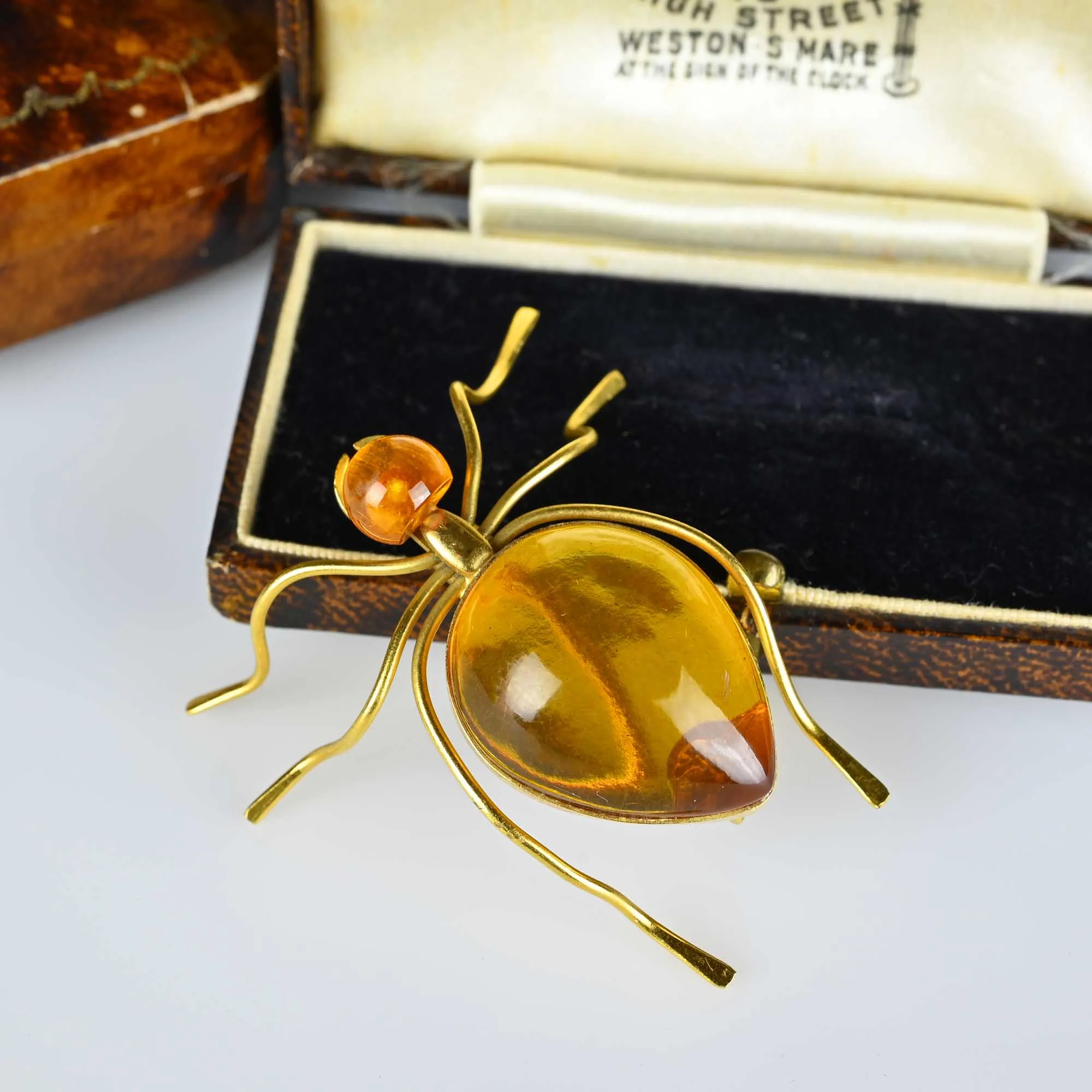Large Russian Amber Bug Insect Brooch