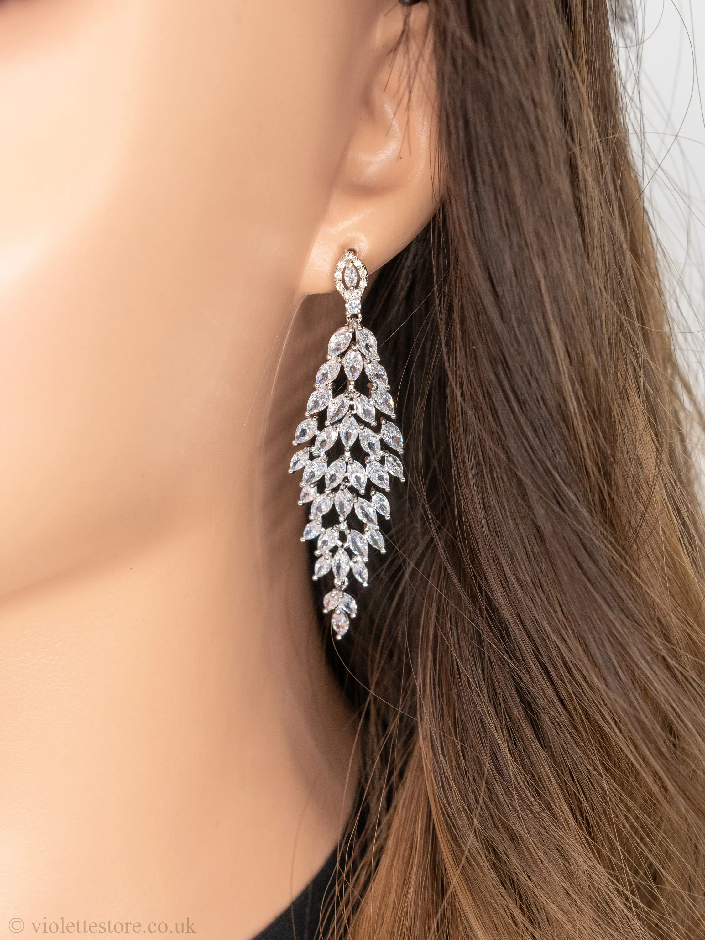Stunning Crystal Earrings